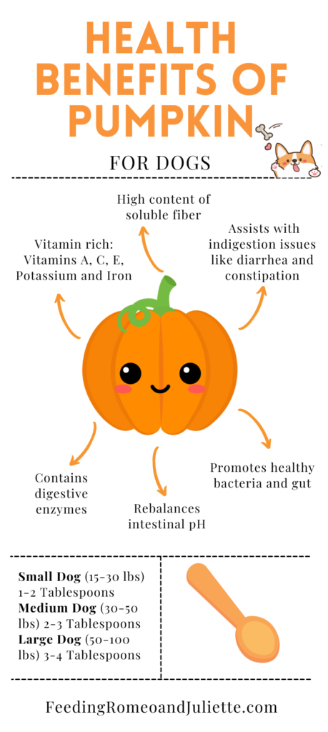 Will pumpkin settle a hotsell dog's stomach