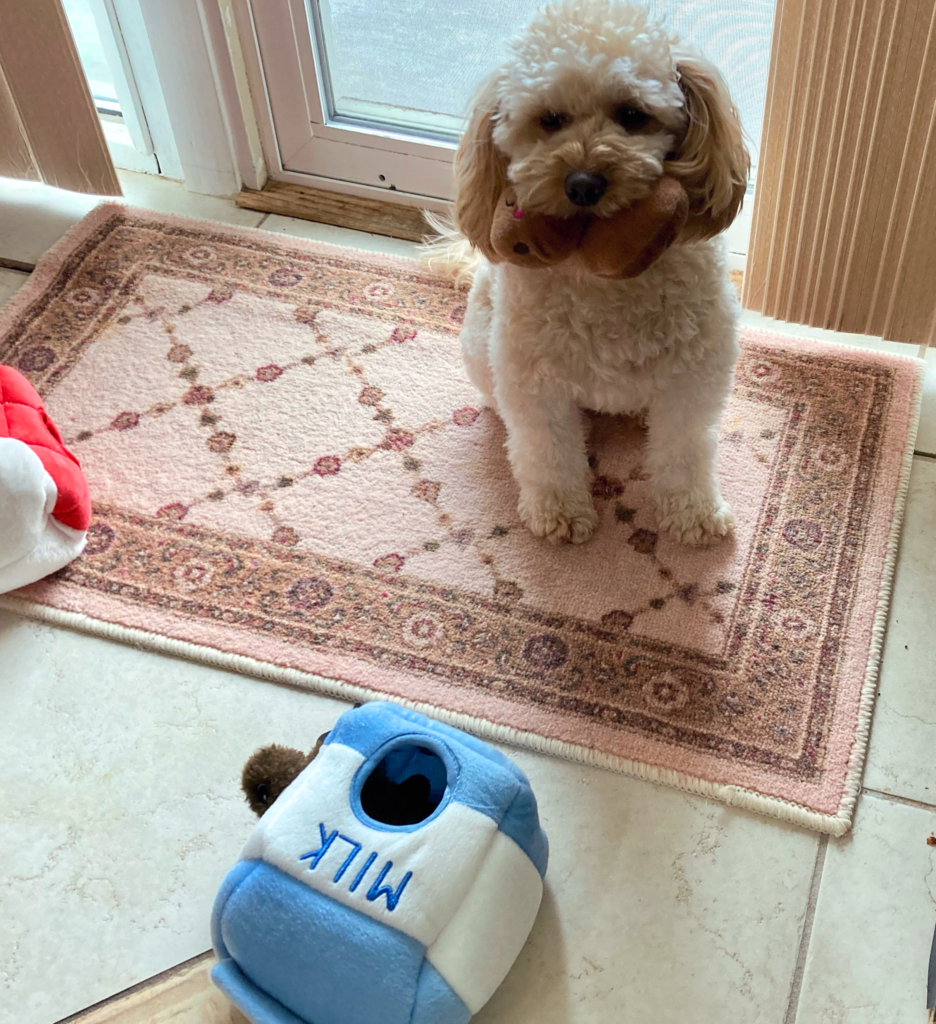 Dog Eating Milk and Cookies